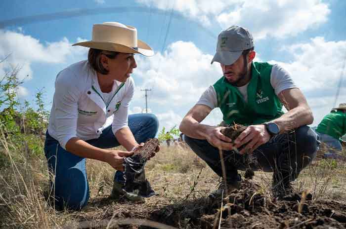 PVEM Arranca_mega_reforestación_Verde_al_norte_del_Edoméx_2.jpg